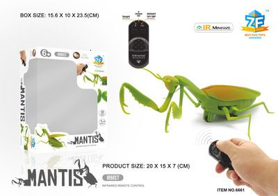 mantis