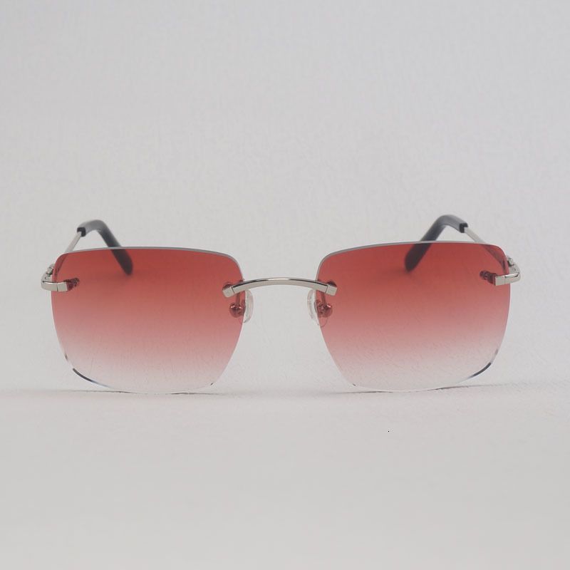 Silver f Red Lens-Other