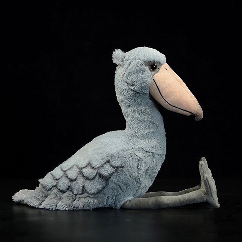 shoebill