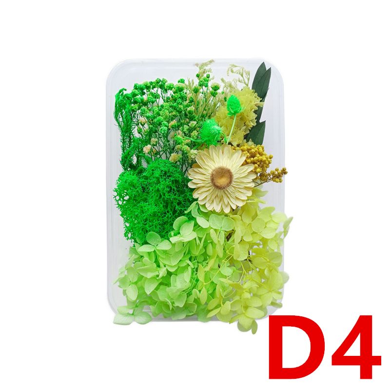 D4