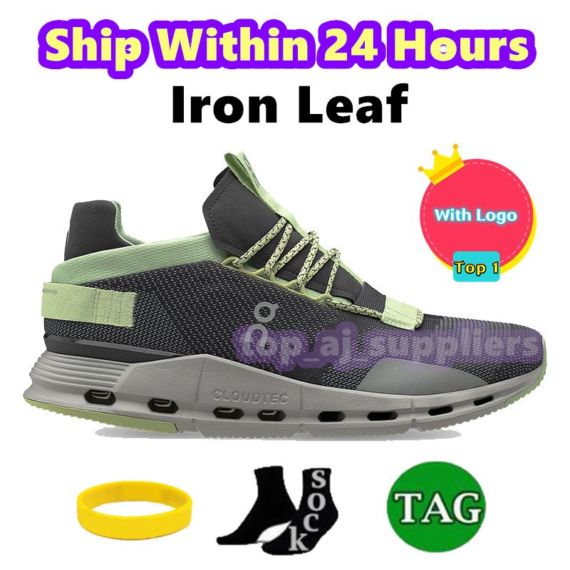 25 iron leaf