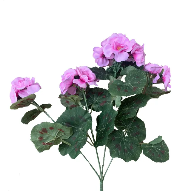 Purpur Rosa