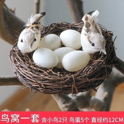 5個の卵2鳩