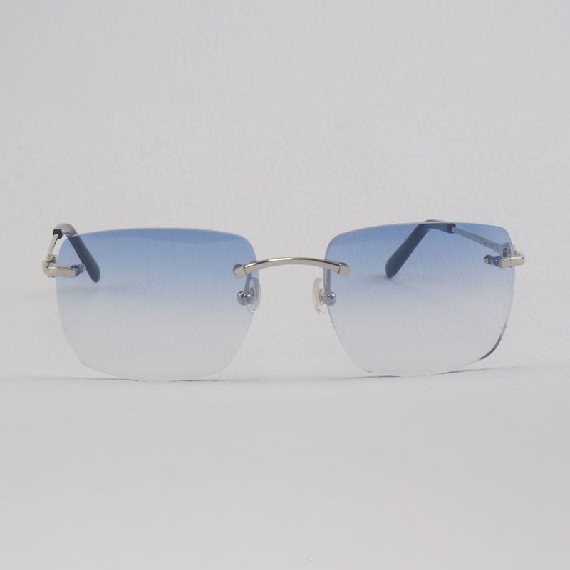 Silver f Blue Lens-Other
