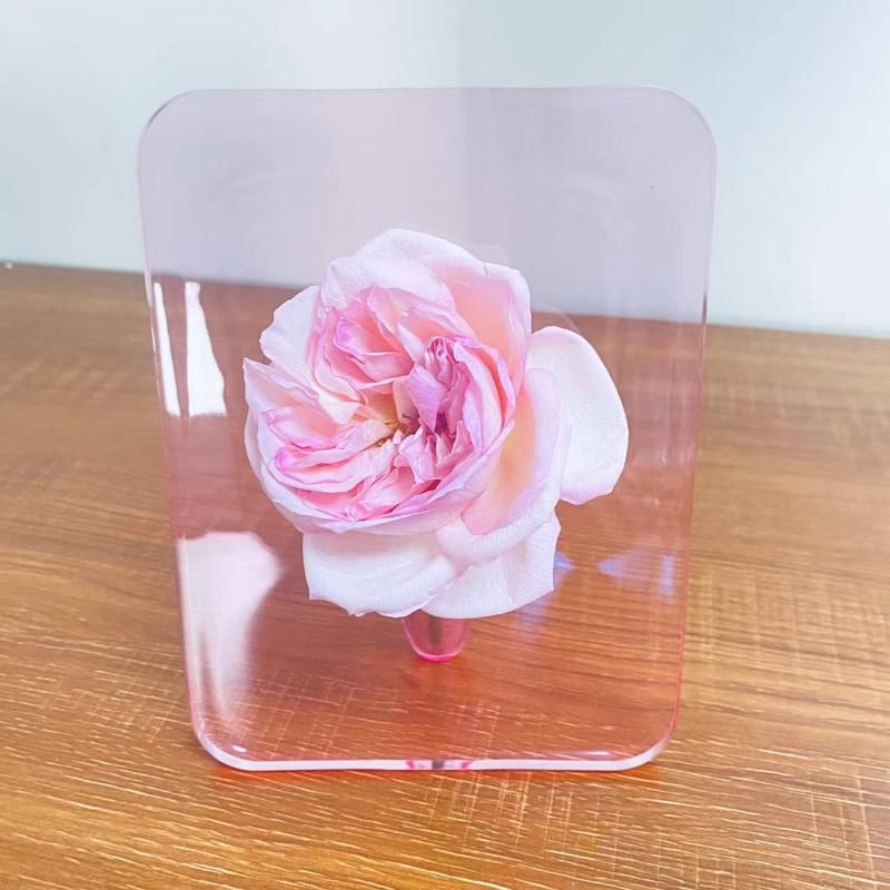 vase rose seulement