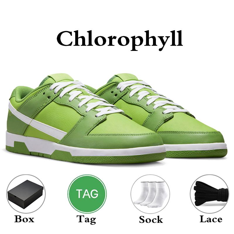 chlorofyl