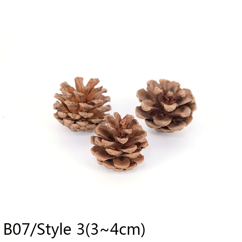 B07-10PCS