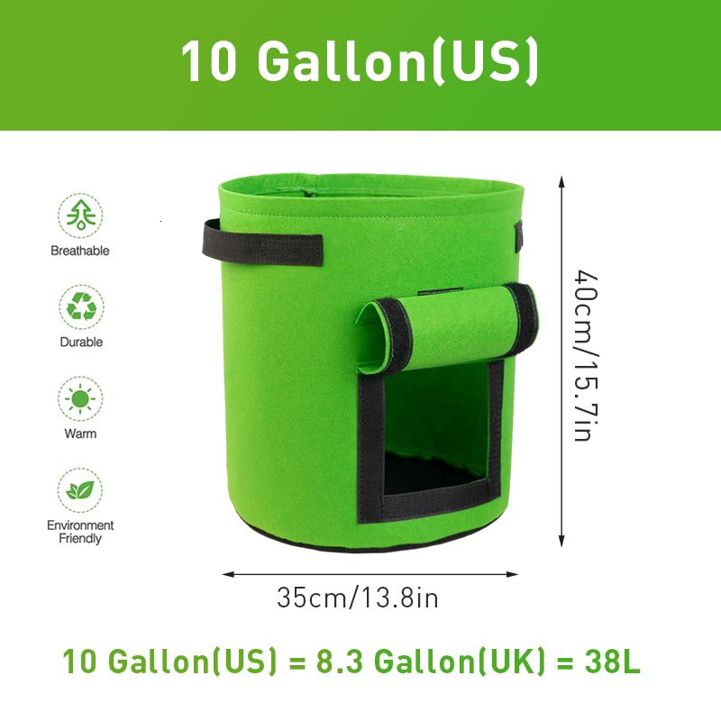 10 gallongrön