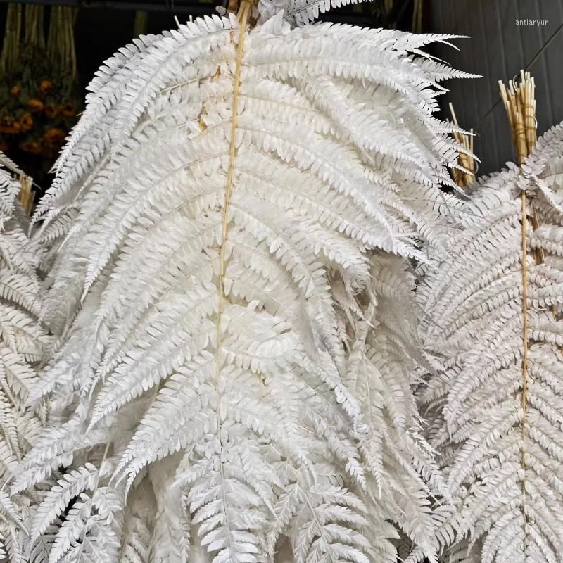 Bouquet de fougère blanche