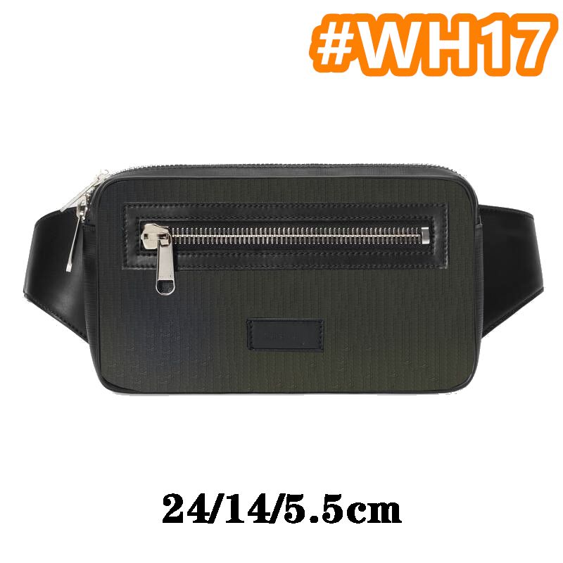 #wh17 24/14/5.5cm