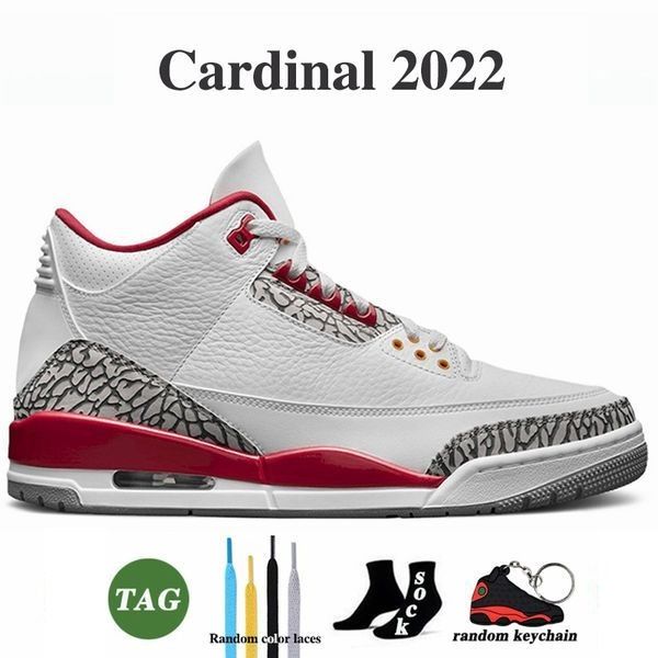 Cardinal 2022