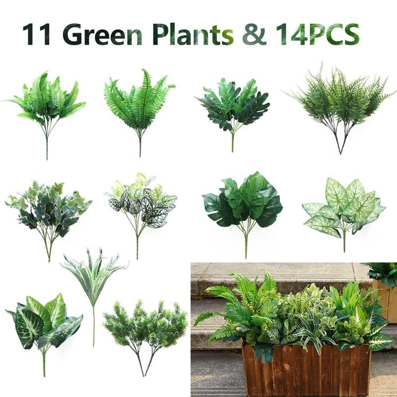 Green Plant