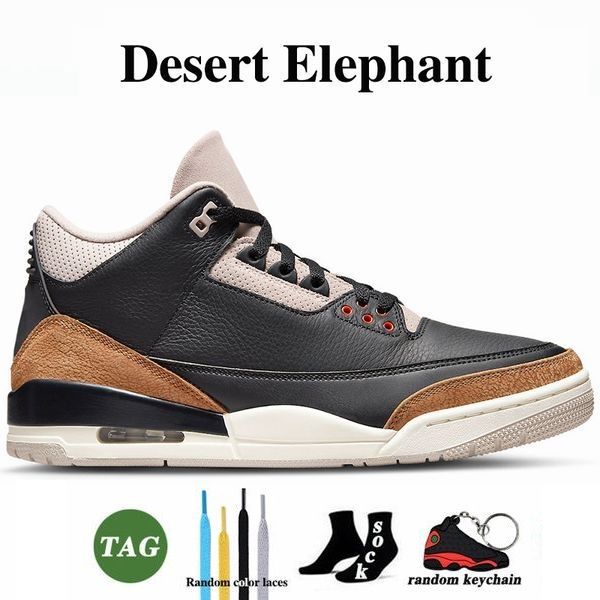 Éléphant du désert