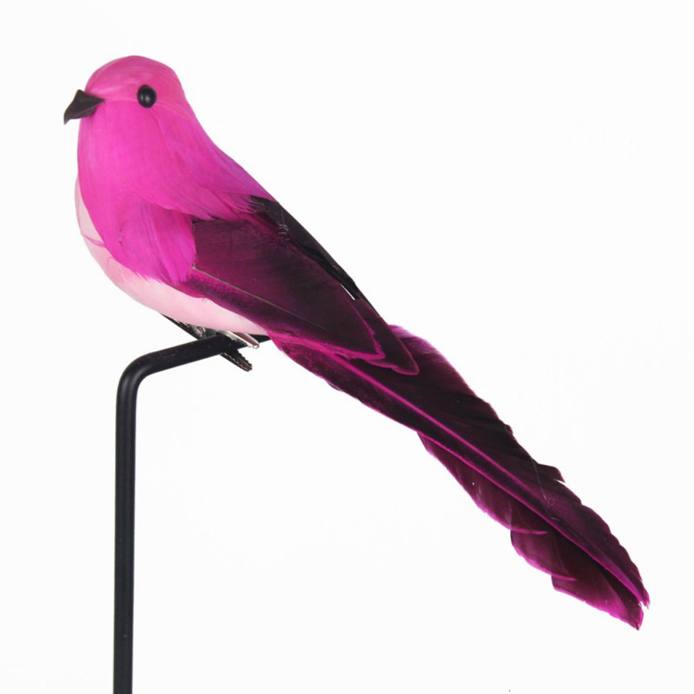 Pink di uccello