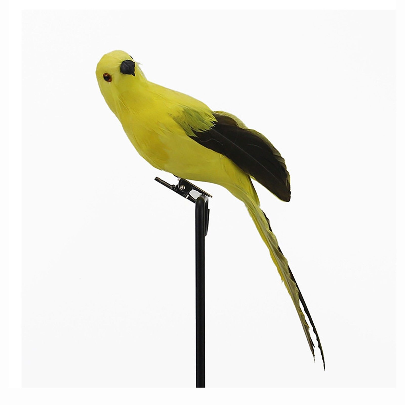 Parrot Giallo