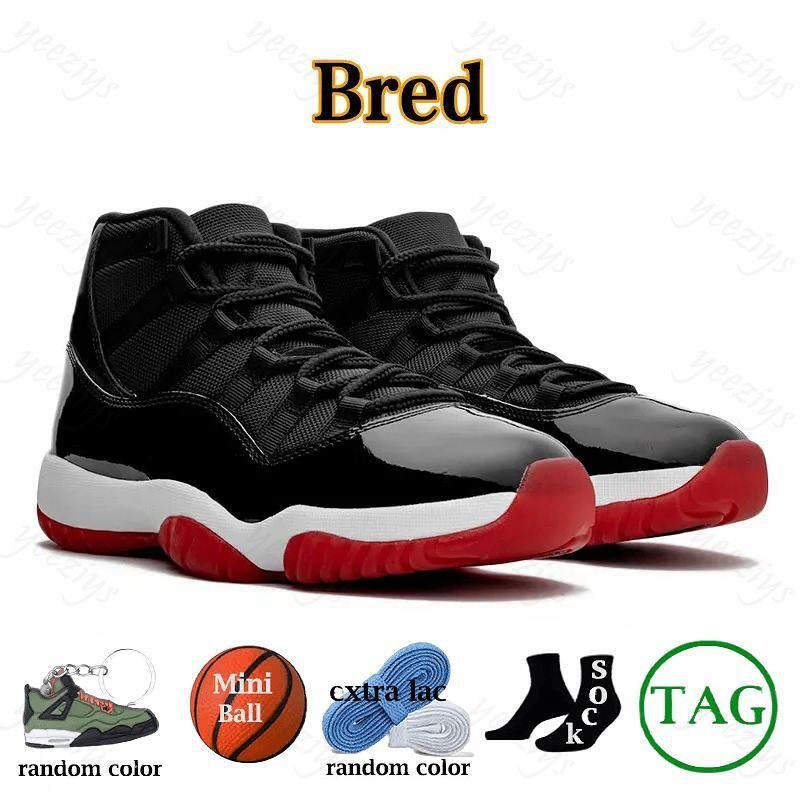 #23 Bred