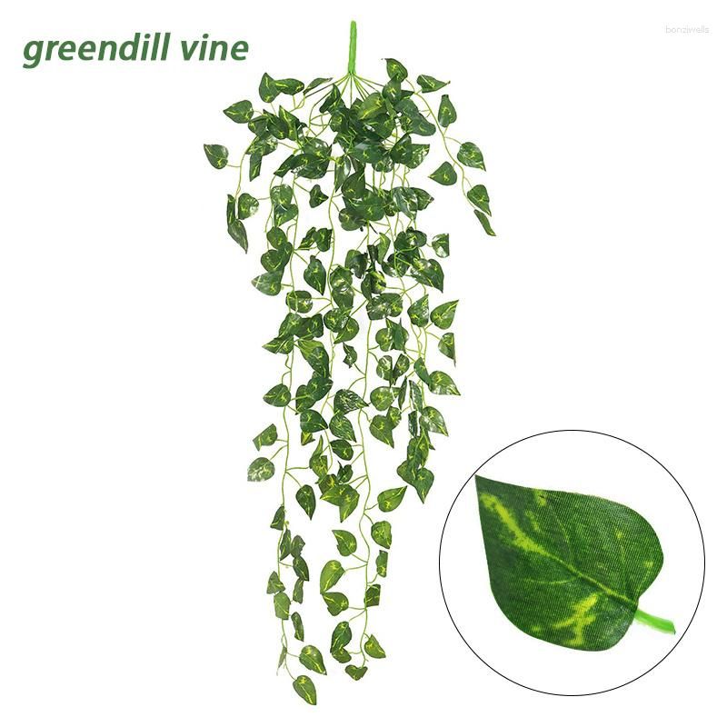 Greendill Vine