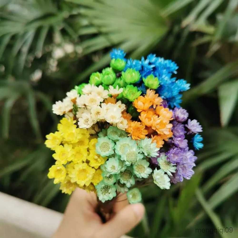 Everlasting Mini Dried Flower Bouquet