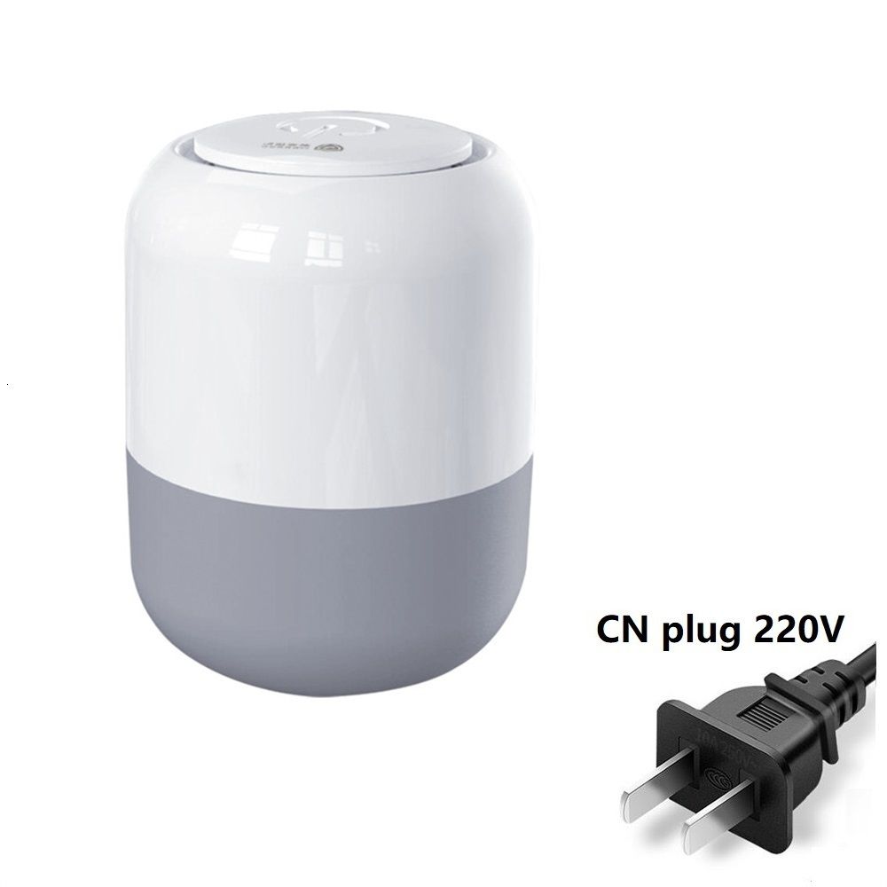 CN Plug 220V