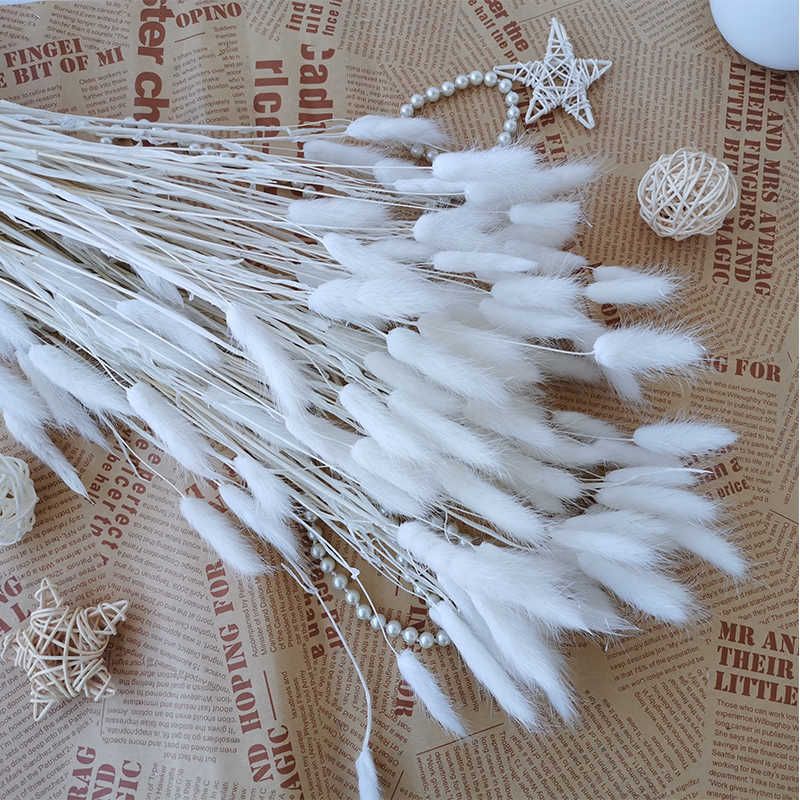 White-20pcs Ingen vas