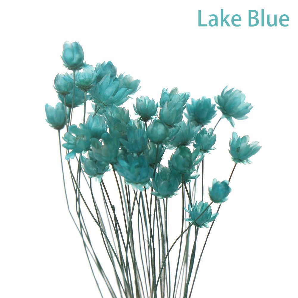 01-Lake Blue