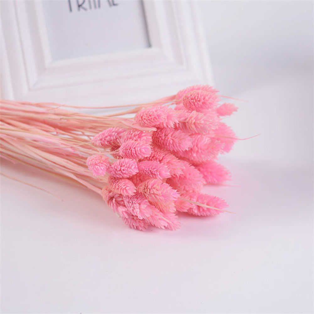 Pink-50pcs