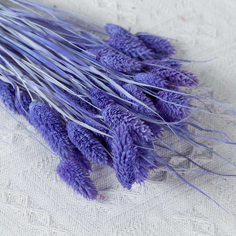 Bleu Violet-50pcs