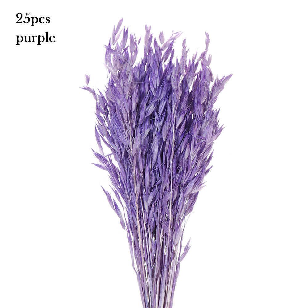 25pcs-purple