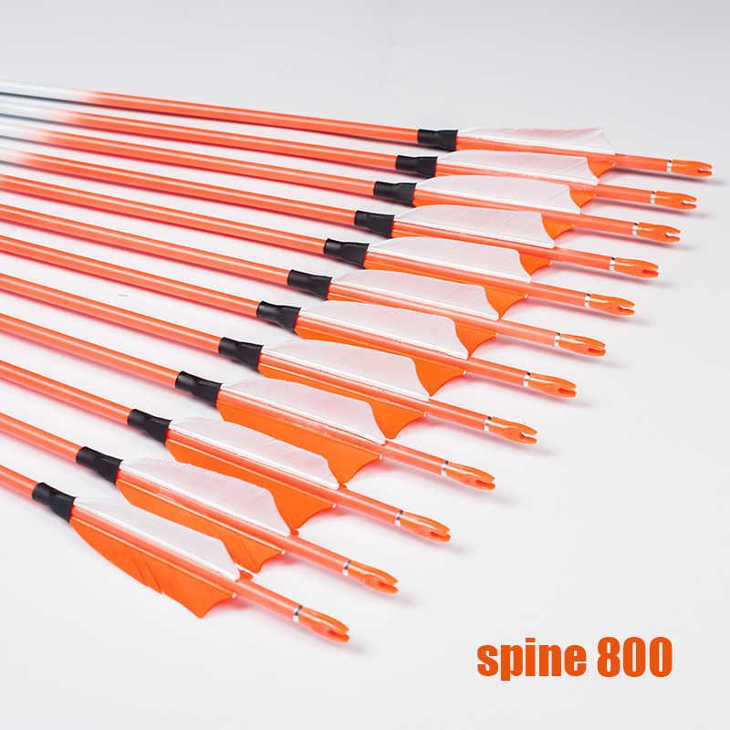 Spine8003