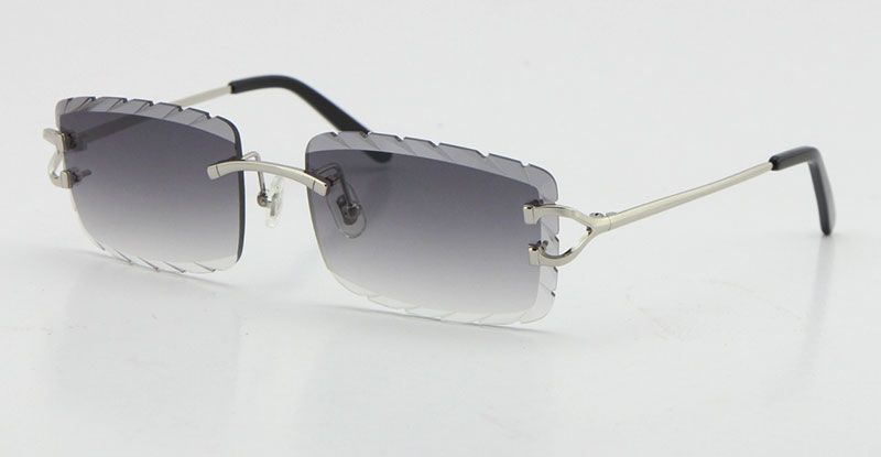 Silver Gray Lens