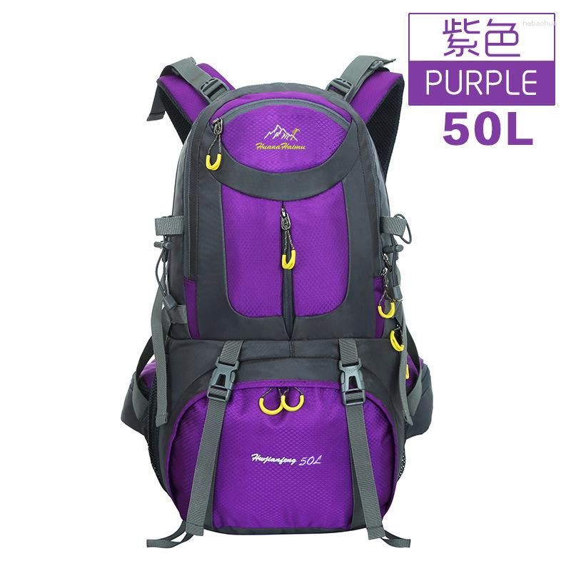 紫50L