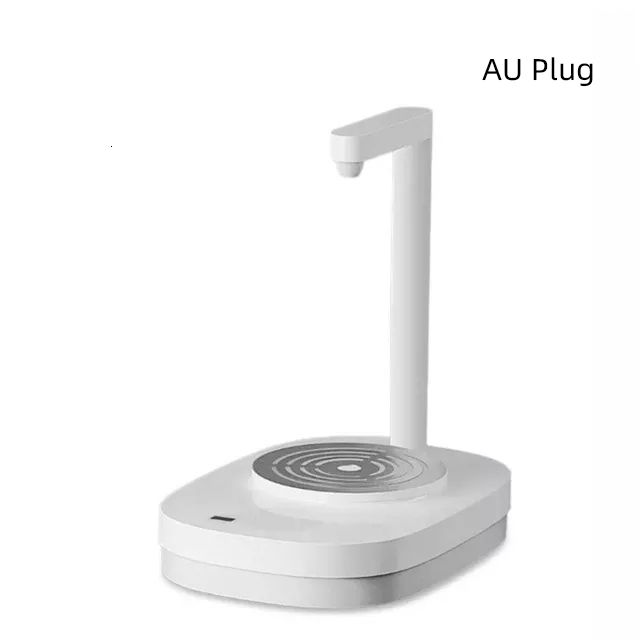 Plug Au