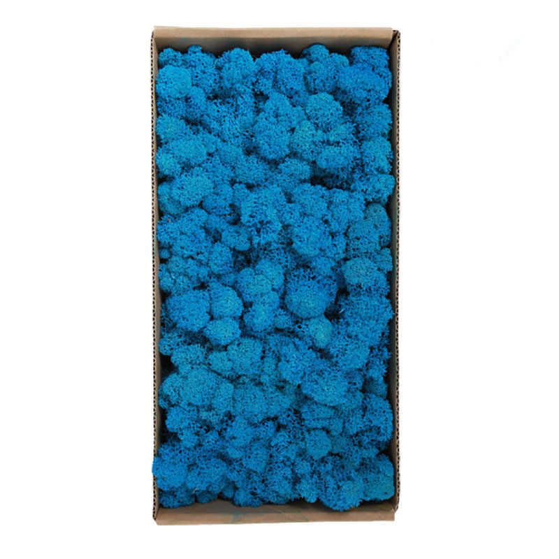 Blue-200g