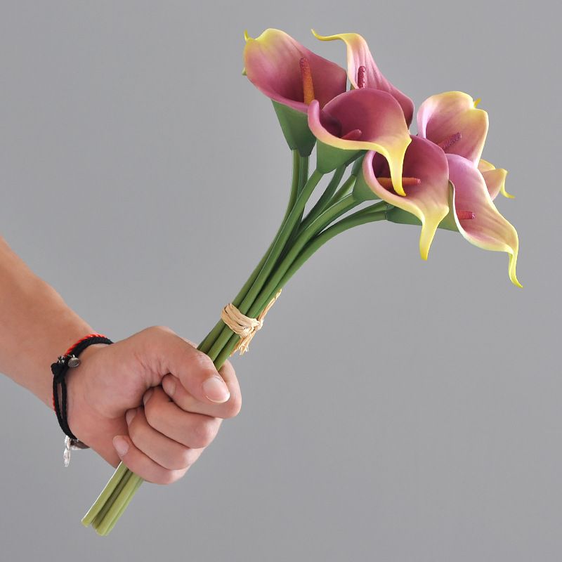 Pink green calla