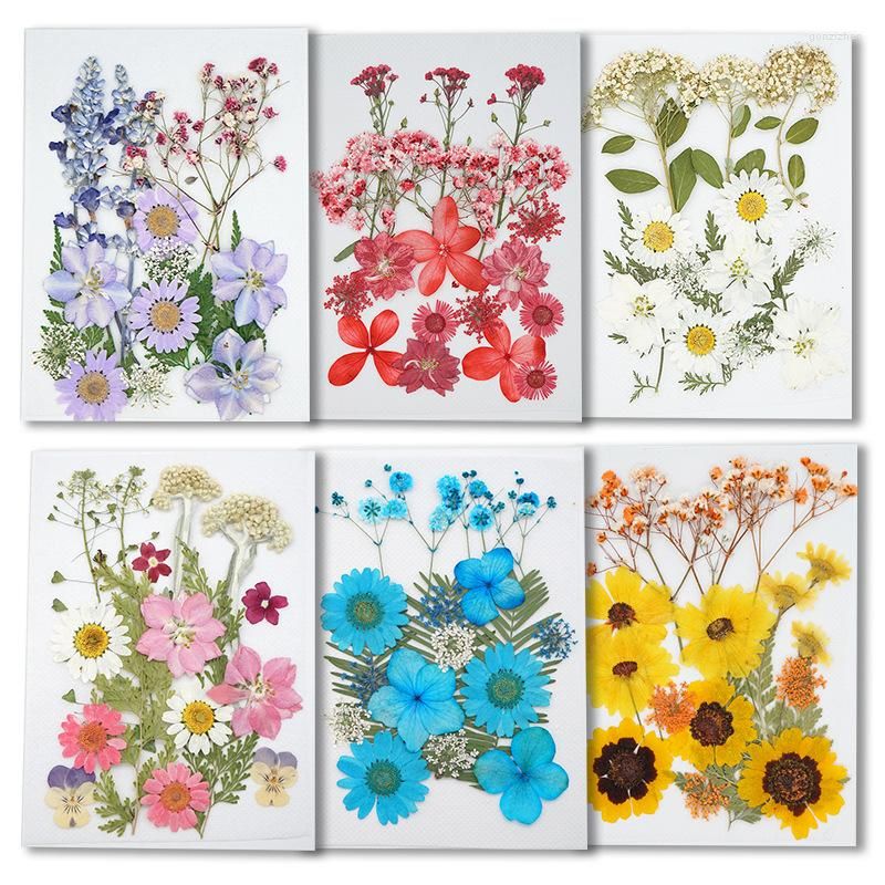 1bag Preserved Flower Dried Flowers for Epoxy Resin Mold for DIY