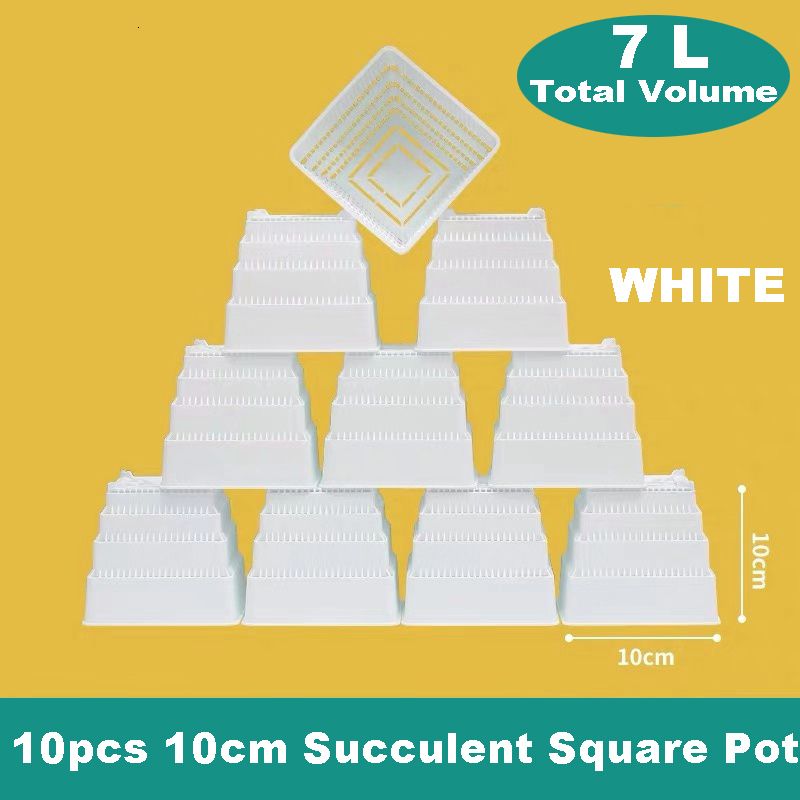 Bianco - 10 pezzi di 10 cm