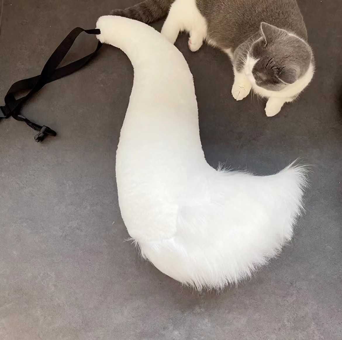a tail