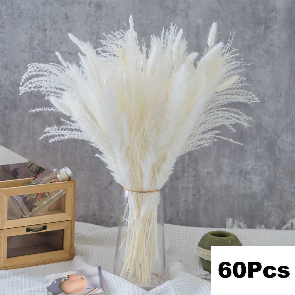 60pcs Pampa-No Vase5