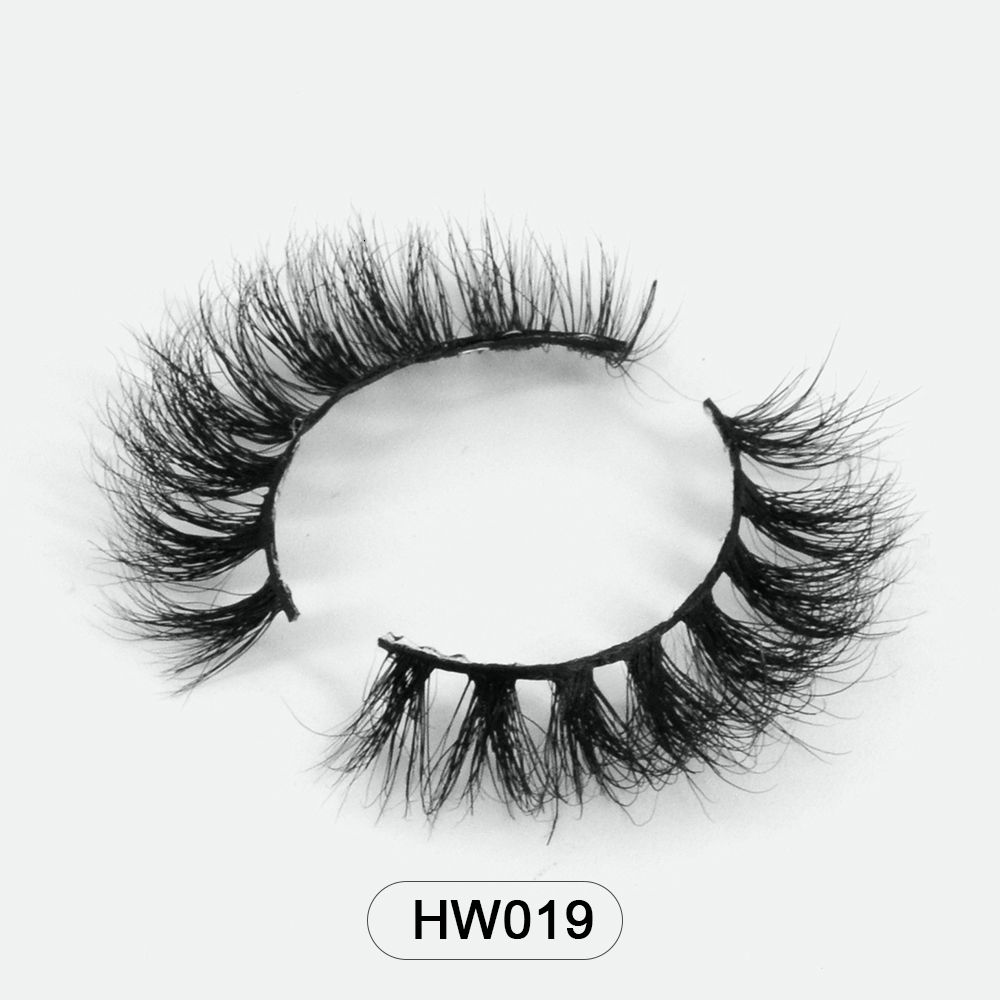 HW019