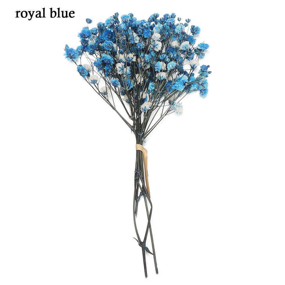 02-Royal Blue