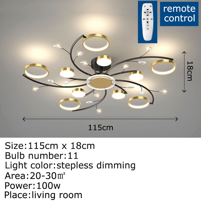 11 lumières avec télécommande