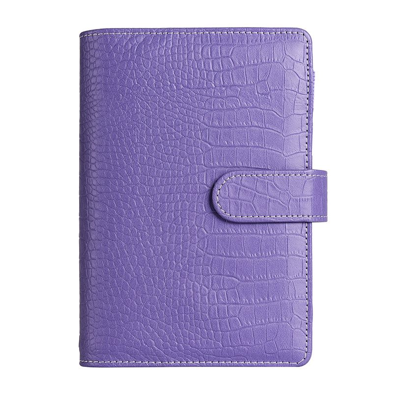 Coque violette uniquement A6