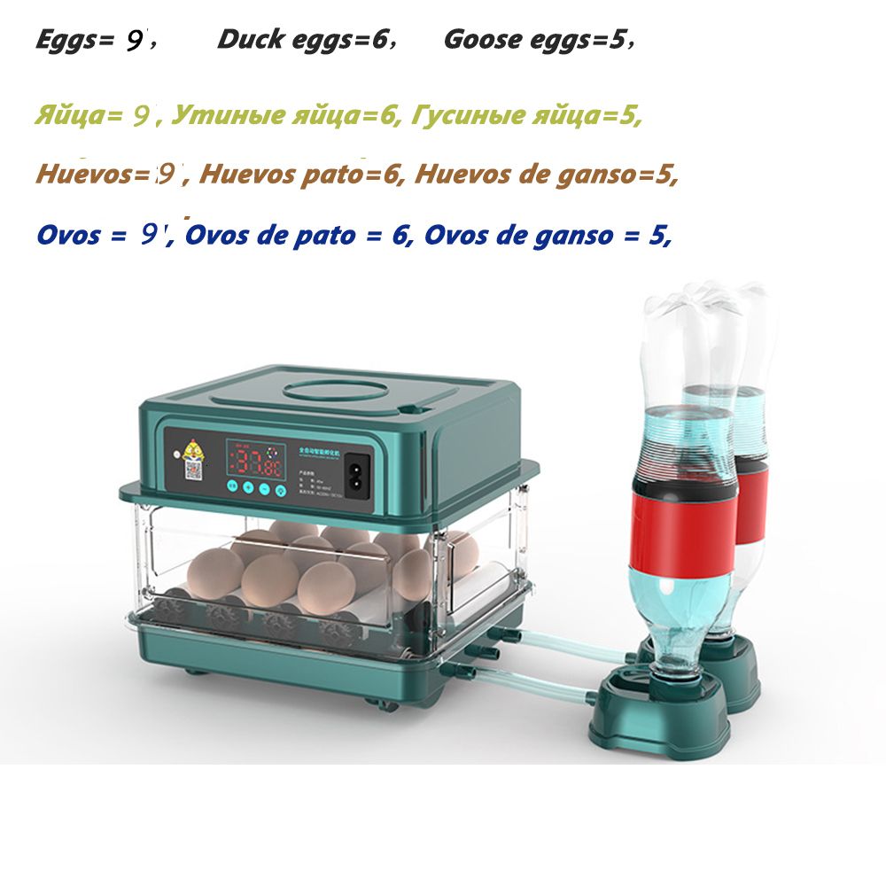 En mini 9 Egg-Au Plug 220V DC 12V