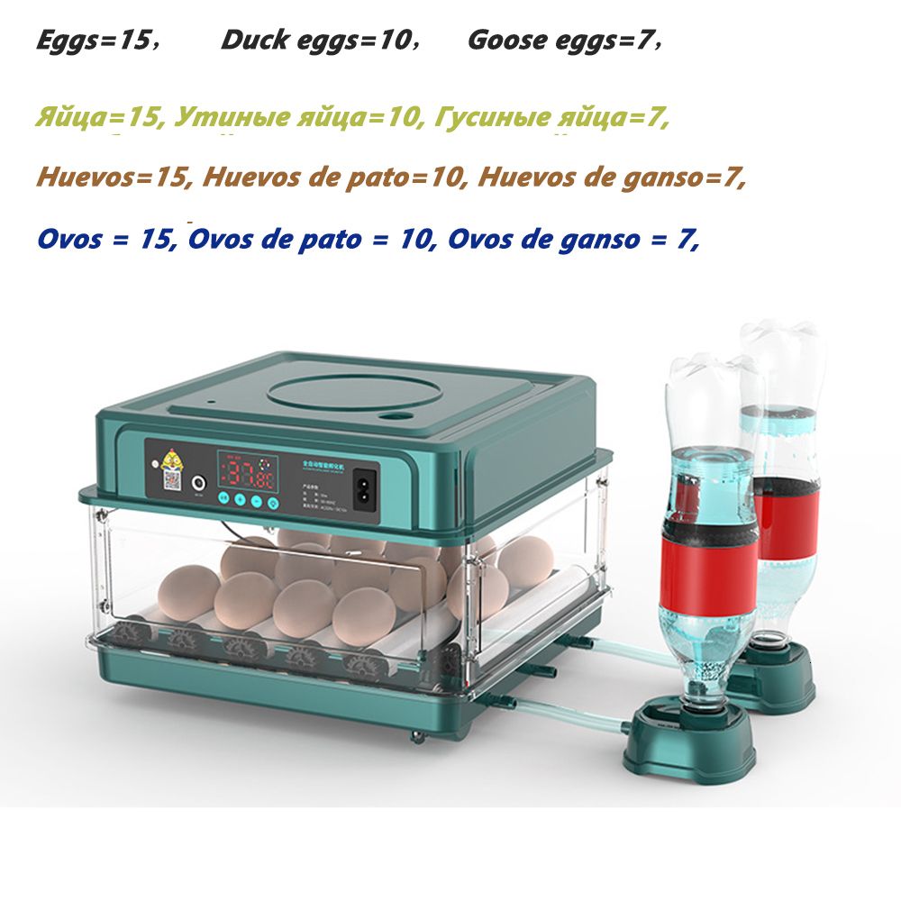 a 15 Egg-Au Plug 220v Dc 12v