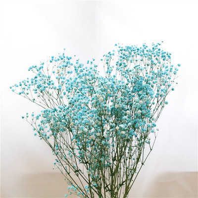 Gypsophila Blue 20g