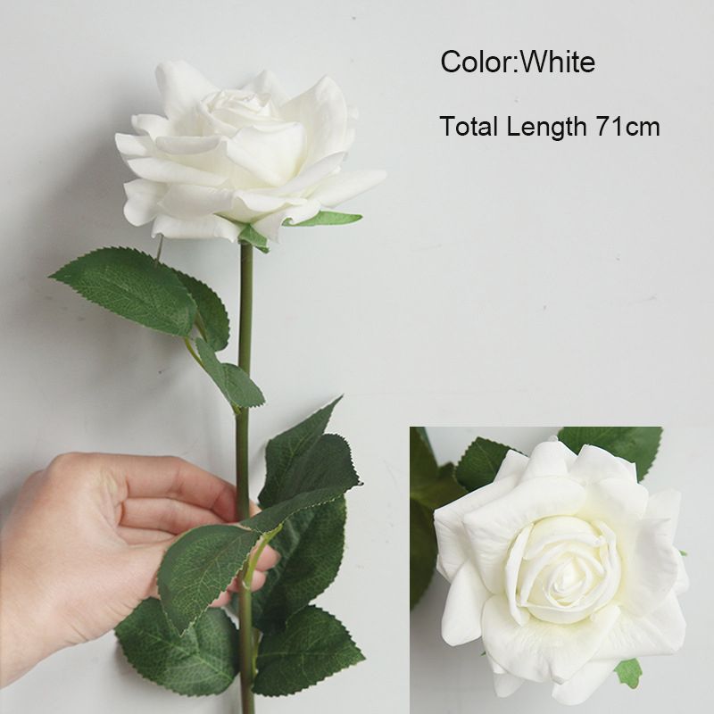 White rose