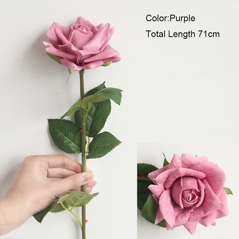 Purple Rose