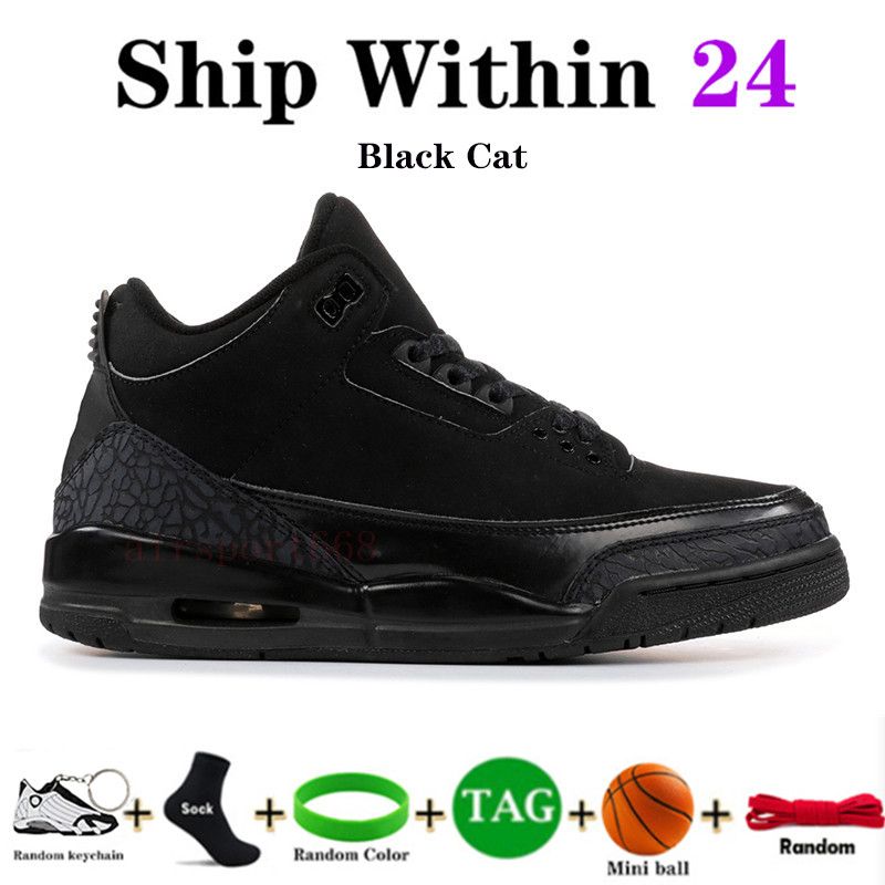 25 قطة أسود