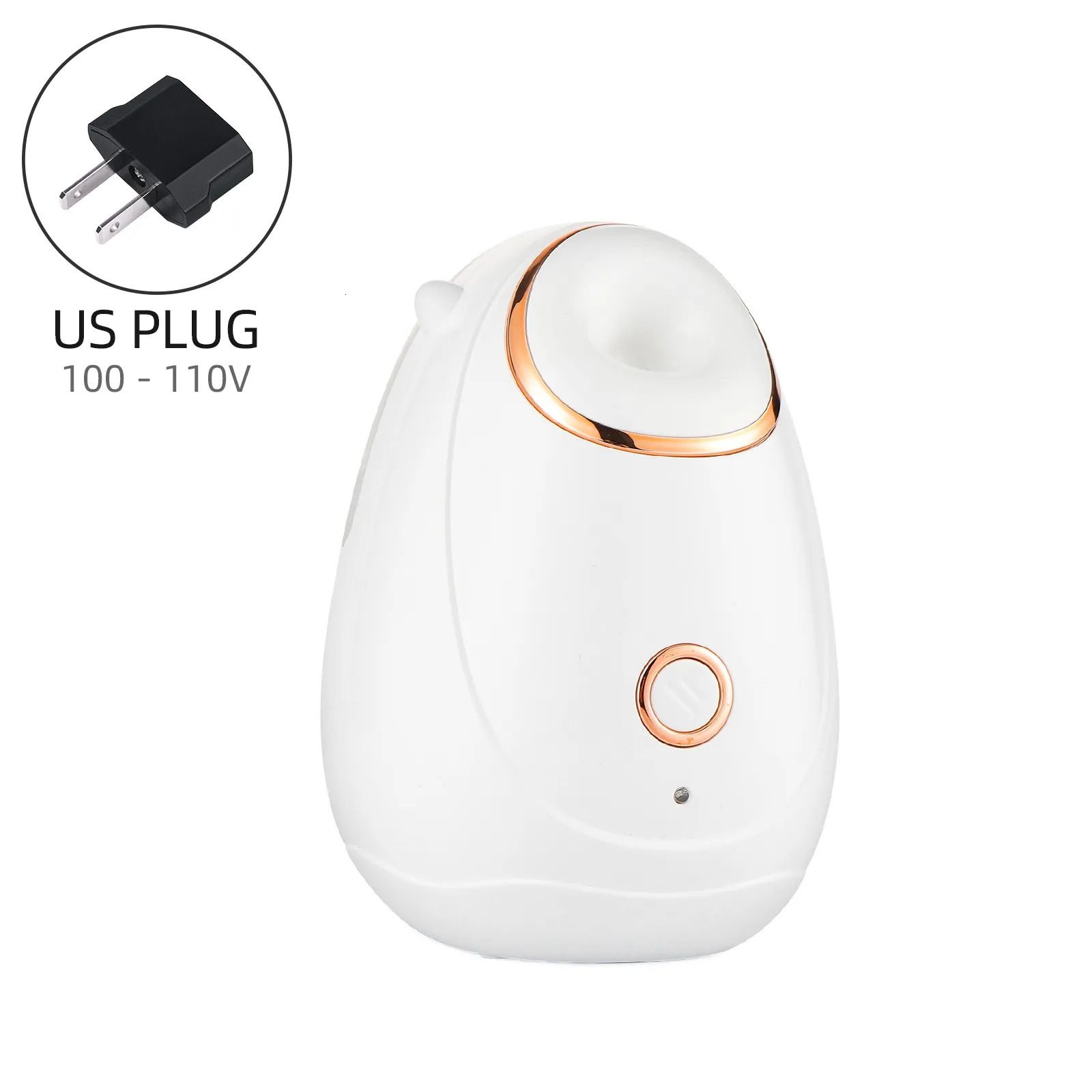 US Plug (100-110V)