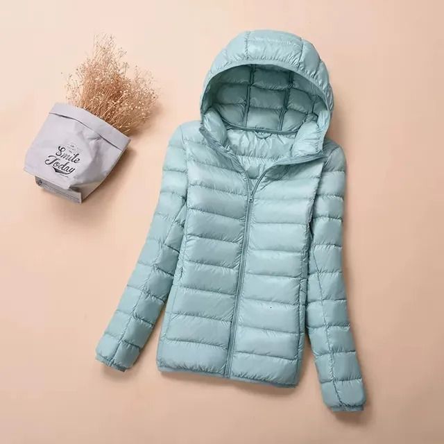 hooded skyblue